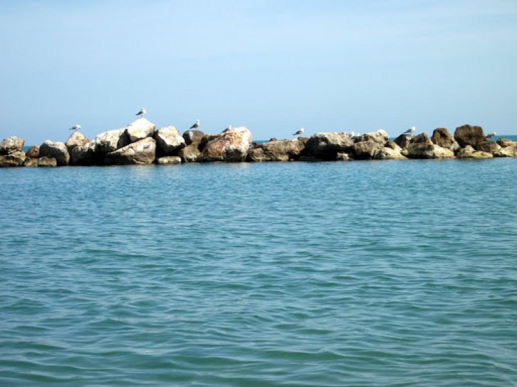 Apartament Un Nido Sul Mare Montesilvano Marina Zewnętrze zdjęcie