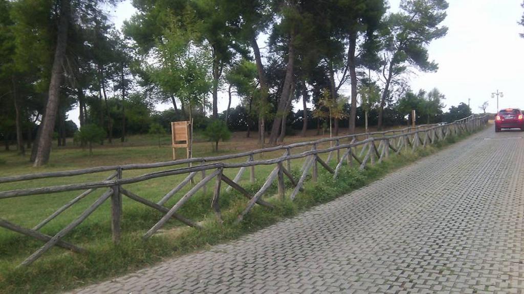 Apartament Un Nido Sul Mare Montesilvano Marina Zewnętrze zdjęcie